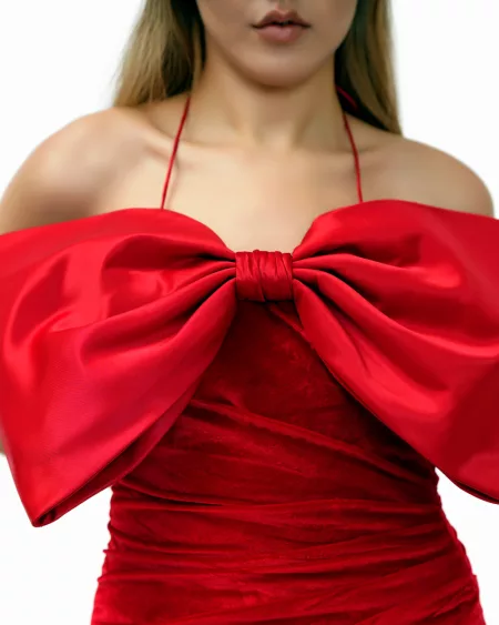 Slim Cut Red Velvet Gown